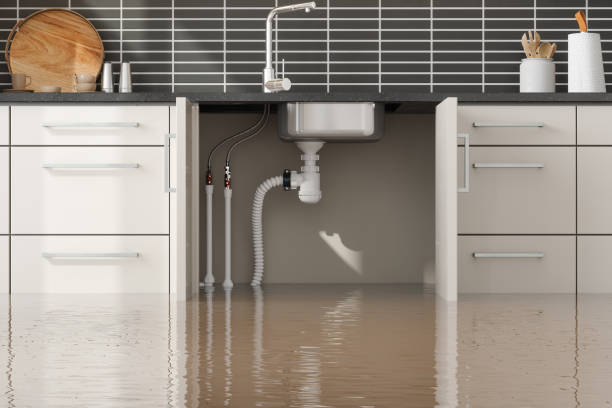Best Flooded house restoration  in Belmont, CA